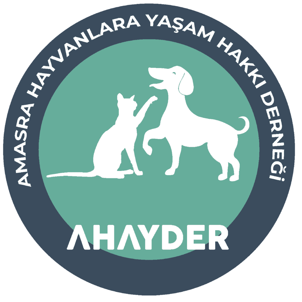 AHayder