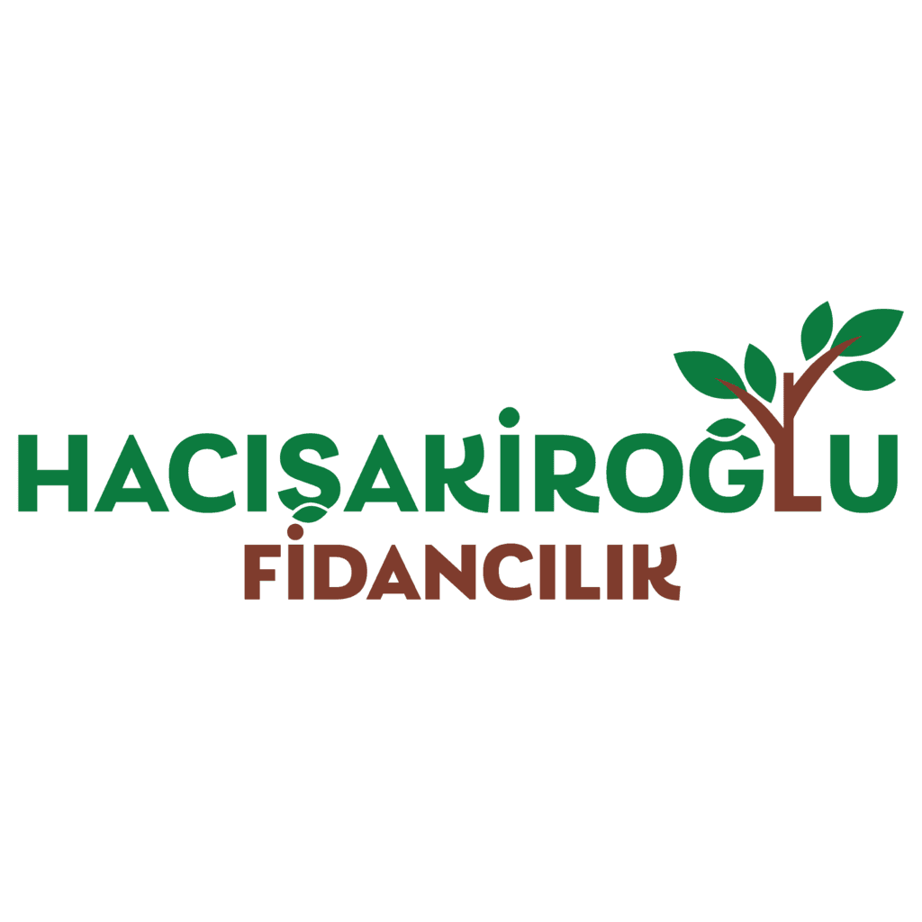 Hacı Şakiroğlu