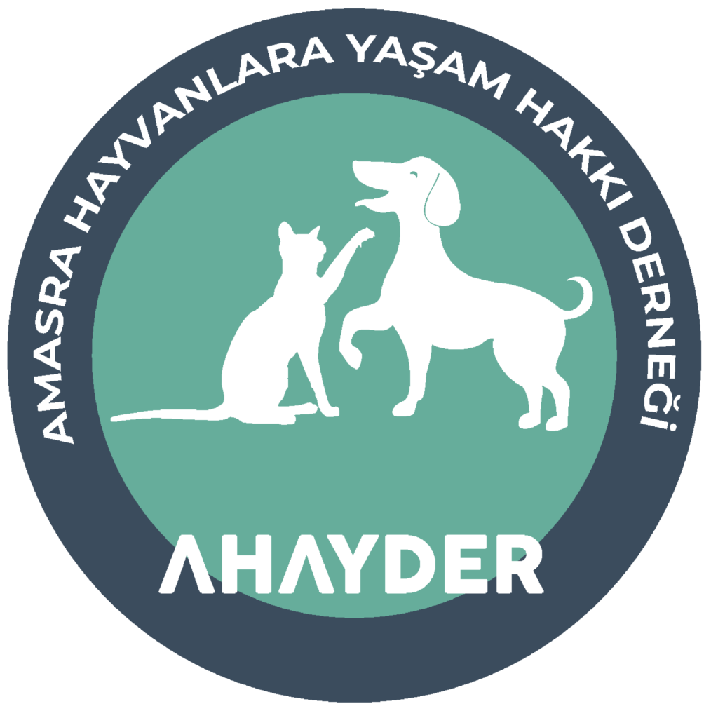 Logo Design für AHAYDER – Amasra Hayvanlara Yaşam Hakkı Derneği mit Hund und Katze Symbolik – erstellt von Lyn Digital