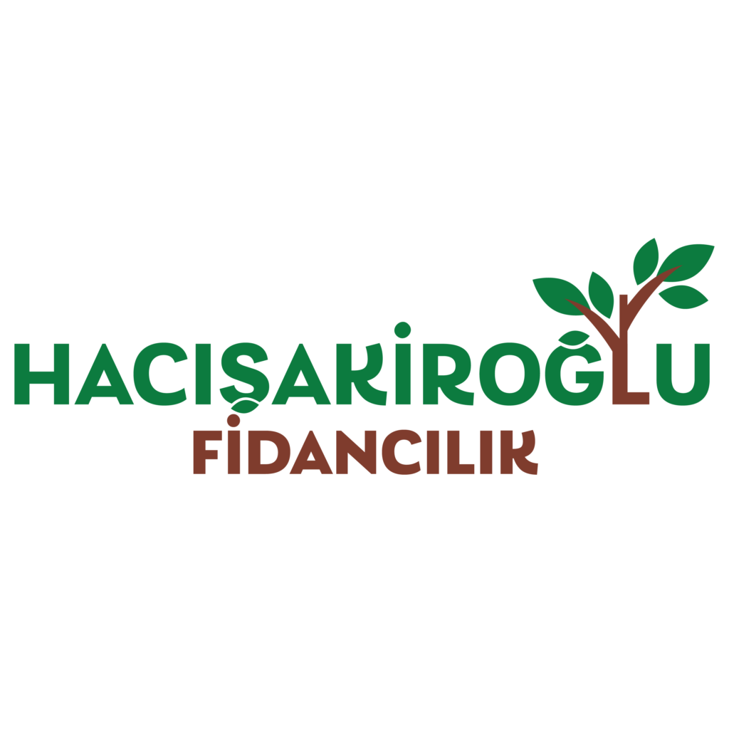 Logo Design für Hacışakıroğlu Fidancılık mit Baumgrafik und natürlichen Farben – Referenz für Kunde: Hacışakıroğlu Fidancılık, erstellt von Lyn Digital
